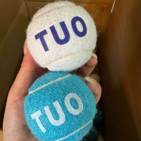 Tennisboll som profilprodukt – tryck tennisbollar med l...